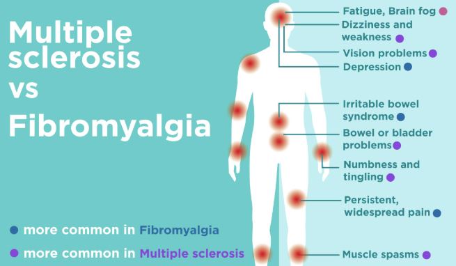 You did not knew you have Fibromyalgia or Multiple Sclerosis ?