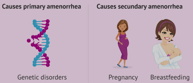 How Fibromyalgia Disturb Amenorrhea?