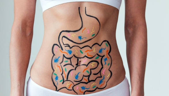 Fibromyalgia People have Distinct Intestinal Bacteria