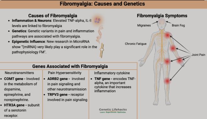 Why There Are So Many Causes of Fibromyalgia?