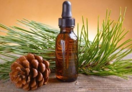 6 Pine Oil Usages that are Amazing in Arthritis