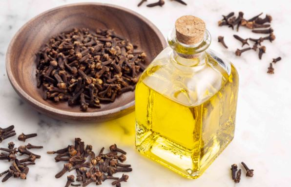 Do You Know 6 Clove Oil Benefits in Arthritis?