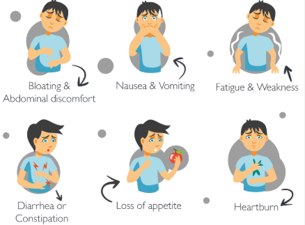 Curated visual reference: Recurring Hamster Digestive Problems Symptoms Reference: Digestive Disorders Symptoms In Fibromyalgia Uncovering The